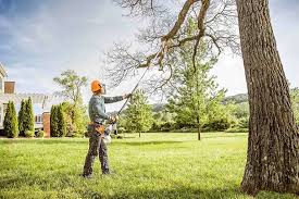 Best Lawn Dethatching  in Sunray, TX